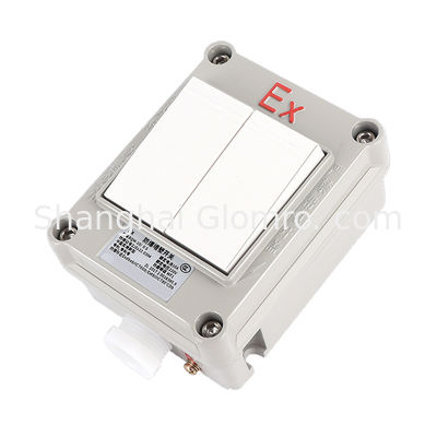 ATEX Explosion Proof Die-Cast Aluminum Switch 220V 380V IP66 Explosion Proof light Switch uk wall switches