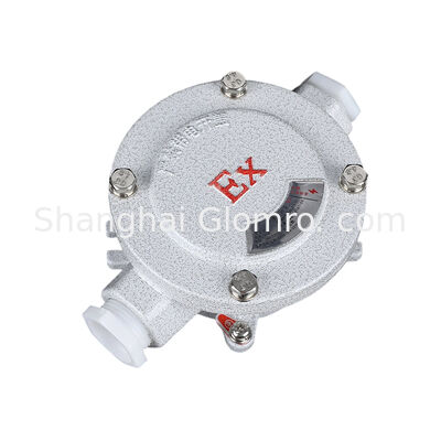 AH-IIB Type B Double Flat Panel Explosion-proof Box, 220V/380V 20A, G1/2-G2 Thread for Explosive Gas Environments