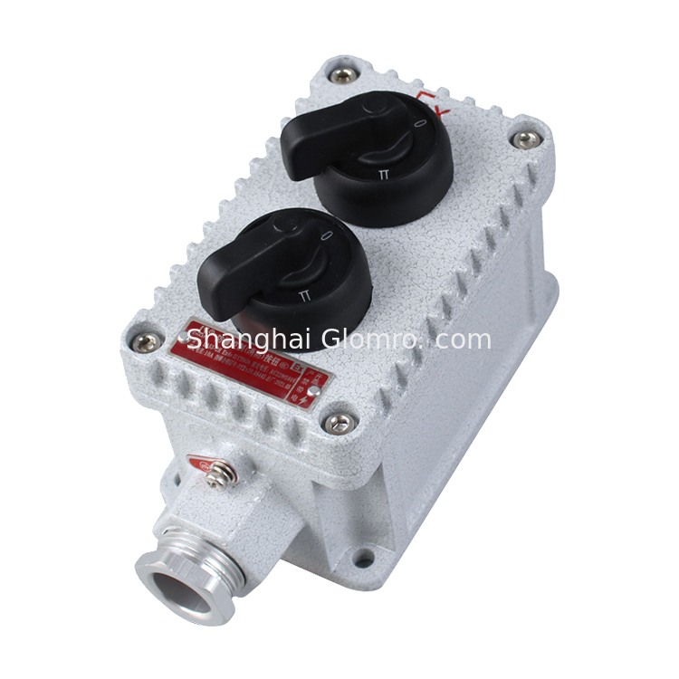 Exde IICT6 Gb Certified Explosion-proof Control Station BXT Series for Hazardous Areas