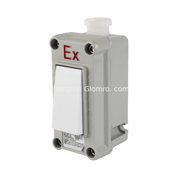 BAXIT Explosion Proof Rotary Switch for Zone1 Zone2 Zone21 Zone22 light switch wall america wall switch eu