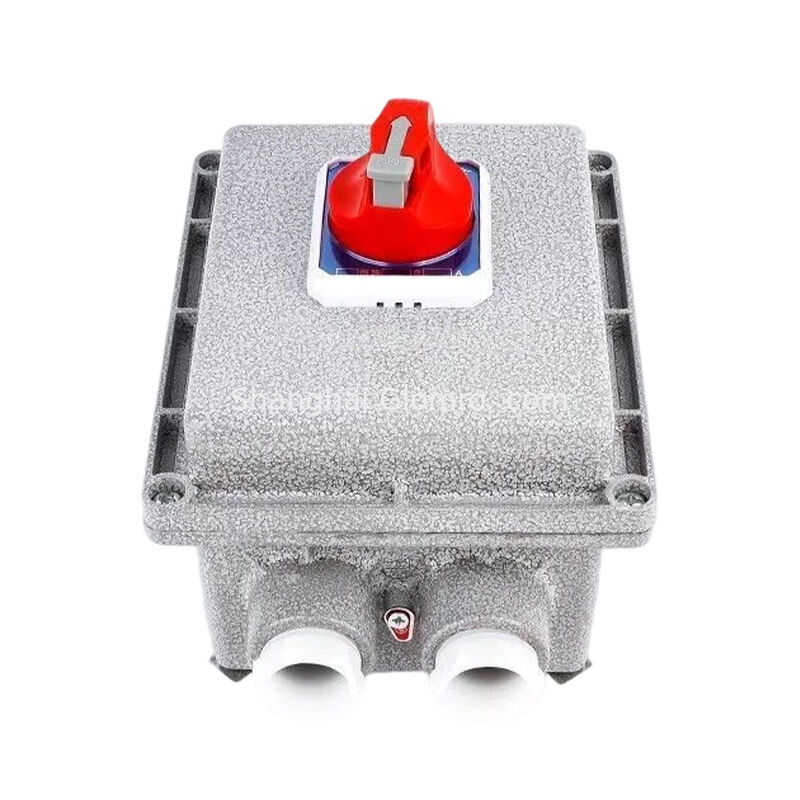 Square 2p Ex-Proof Circuit Breaker with Leakage Protection G1 Thread Die Cast Aluminum IP65 Ex Db Eb Iib T6 GB 10A-63A Residual Current Cutout Device

