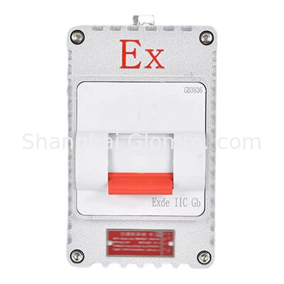1 सर्किट विस्फोट-रोधी सुरक्षा सर्किट ब्रेकर 220V/380V 10A/20A/32A/40A/63A औद्योगिक वाटरप्रूफ ब्रेकर